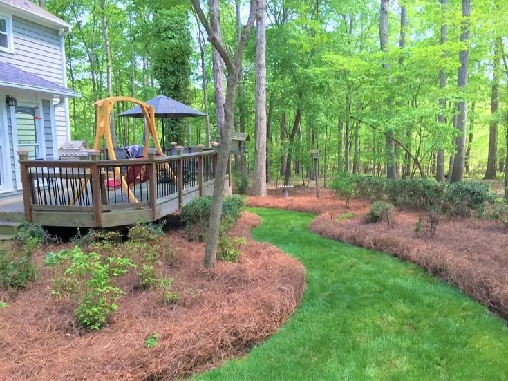 Trusted garden landscaping for beautiful yards across Newnan, GA - Consistent Quality Landscaping