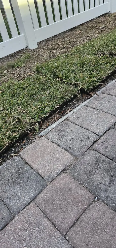 Professional landscape design experts serving Plant City, FL - Consolidated Pest Control