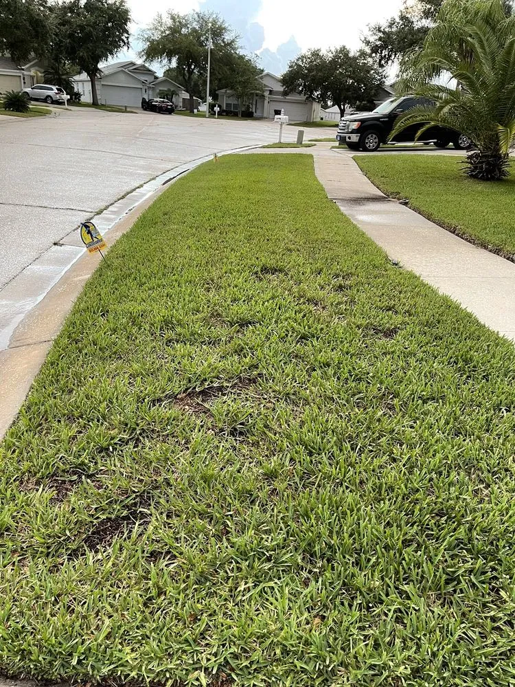 Top-rated landscape design in Plant City, FL by Consolidated Pest Control