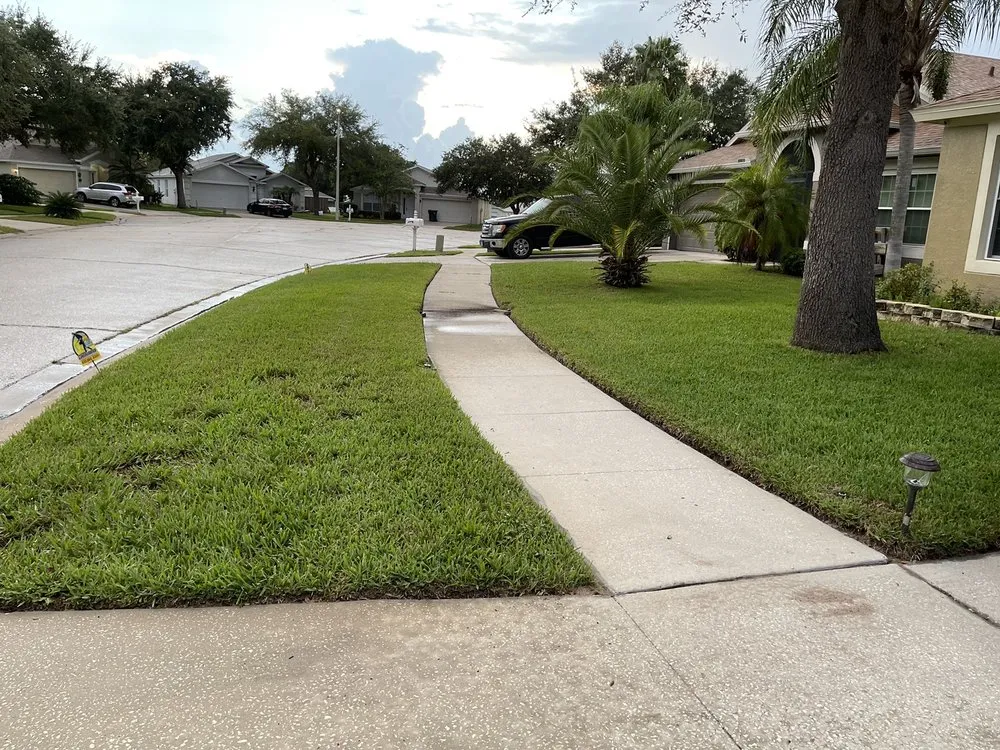 Expert landscape installation with custom design in Plant City, FL by Consolidated Pest Control
