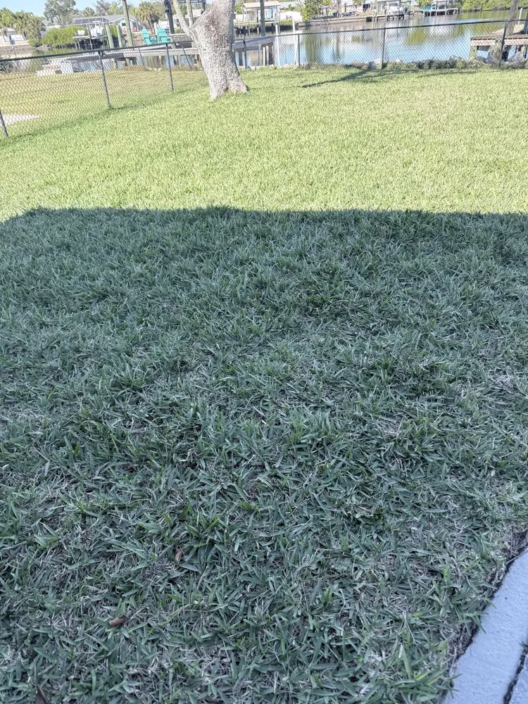 Local landscaping services in Plant City, FL - Consolidated Pest Control