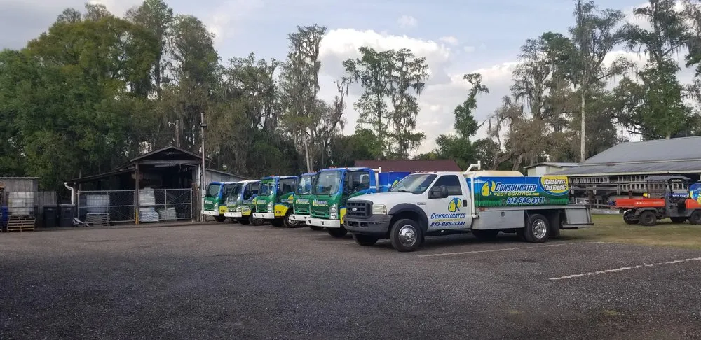 Professional landscaping services in Plant City, FL - Consolidated Pest Control