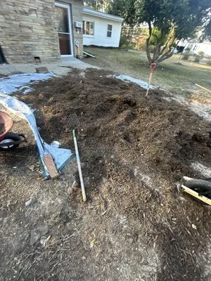 Constant Elevation Logo