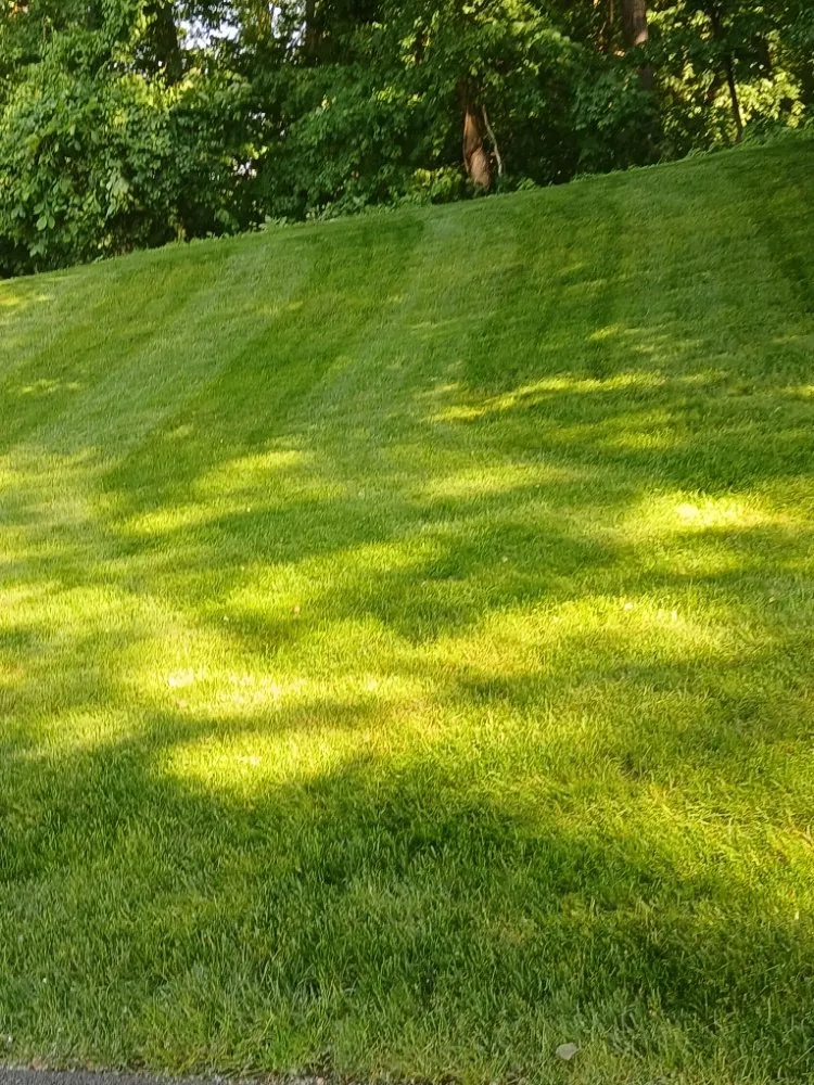 Expert landscape installation for beautiful yards across Oakland, NJ - Constanza Landscaping