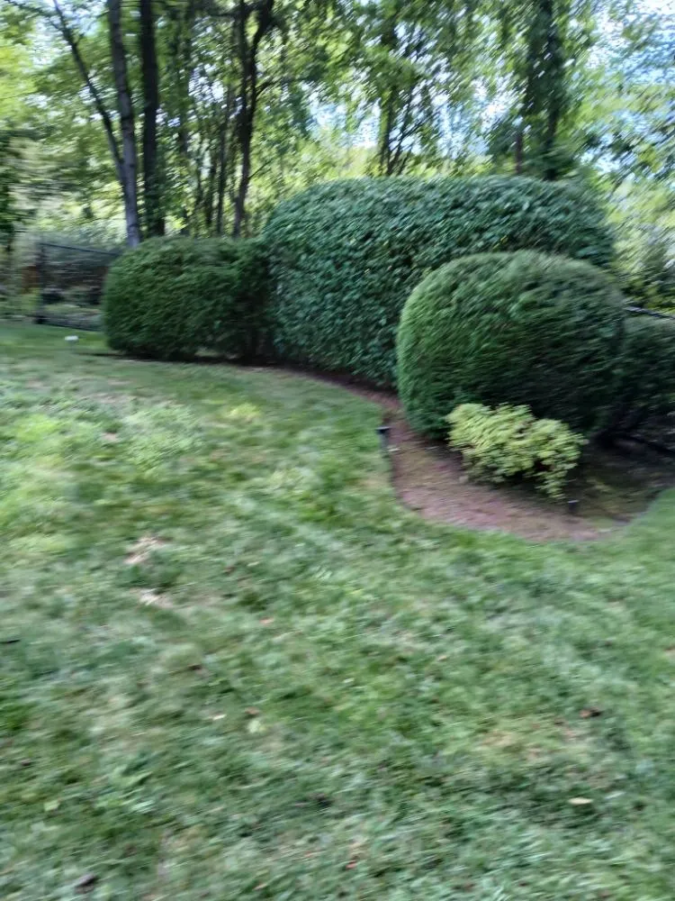 Reliable landscaping services with custom design in Oakland, NJ by Constanza Landscaping