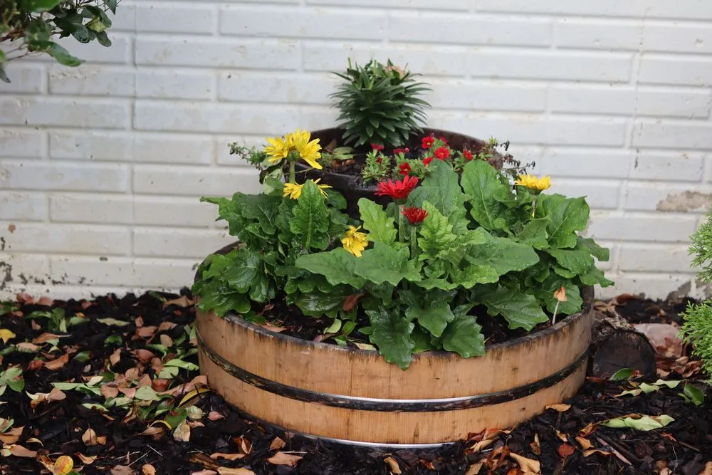 Affordable residential landscaping in Woodbridge, VA by Constanza Lawn and Landscaping