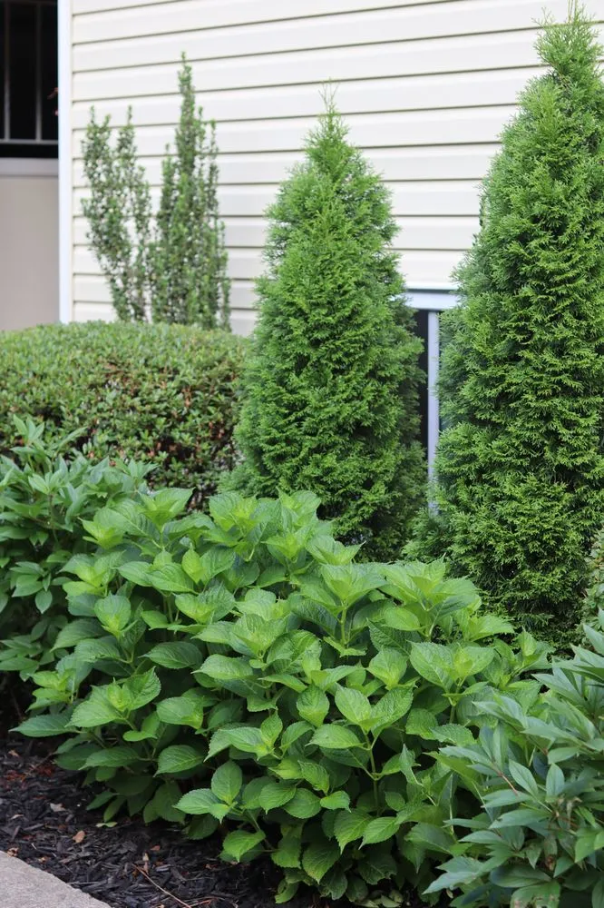 Trusted lawn mowing service experts serving Woodbridge, VA - Constanza Lawn and Landscaping