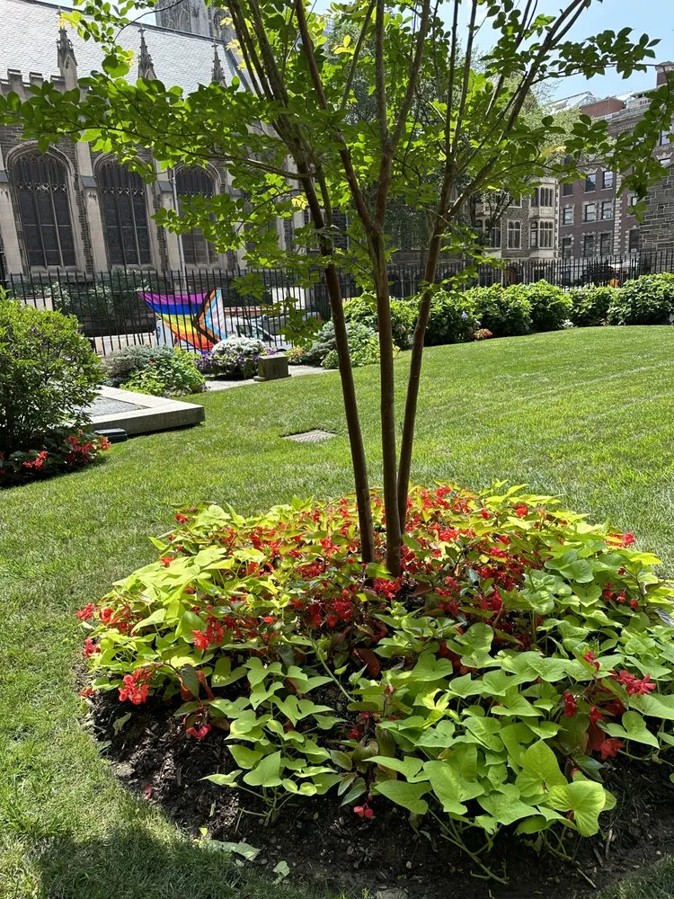 Affordable landscape design for beautiful yards in Hicksville, NY by Construcscape