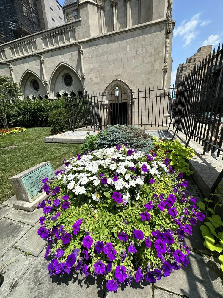 Reliable landscaping services in Hicksville, NY - Construcscape