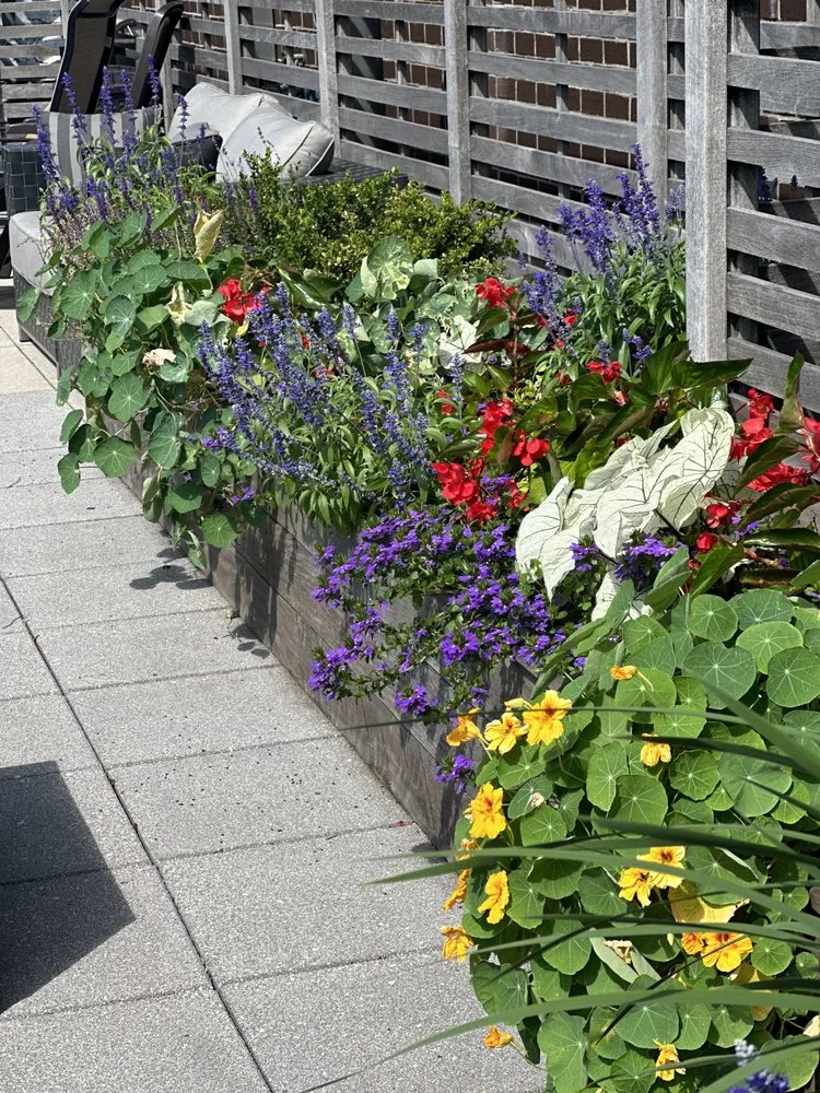 Professional residential landscaping experts serving Hicksville, NY - Construcscape