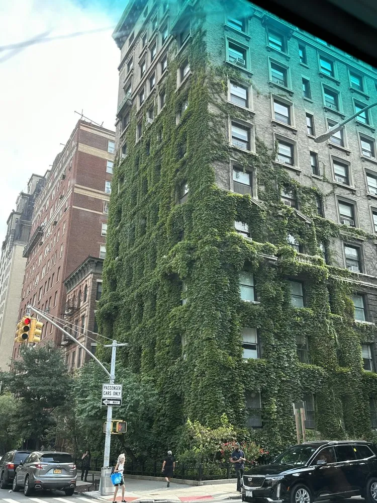 Local outdoor landscaping experts serving Hicksville, NY - Construcscape