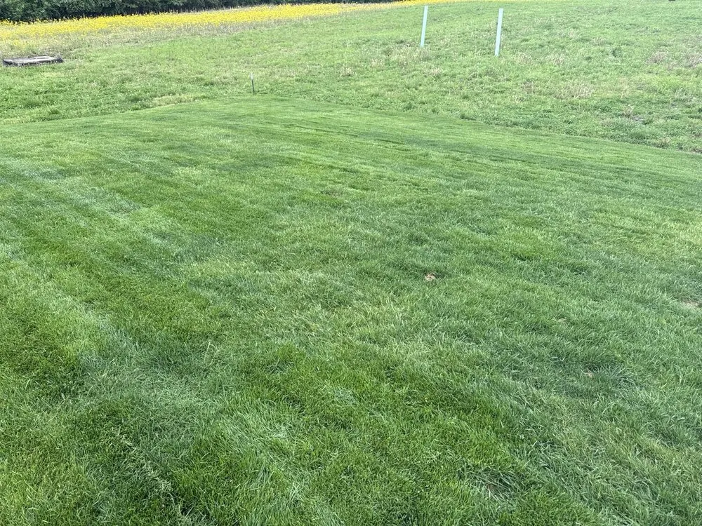 Local residential landscaping in Swansea, IL by Construction & Cleaning Solutions