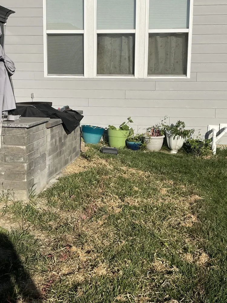 Professional yard cleanup service experts serving Indianápolis, IN - Construction and Landscape