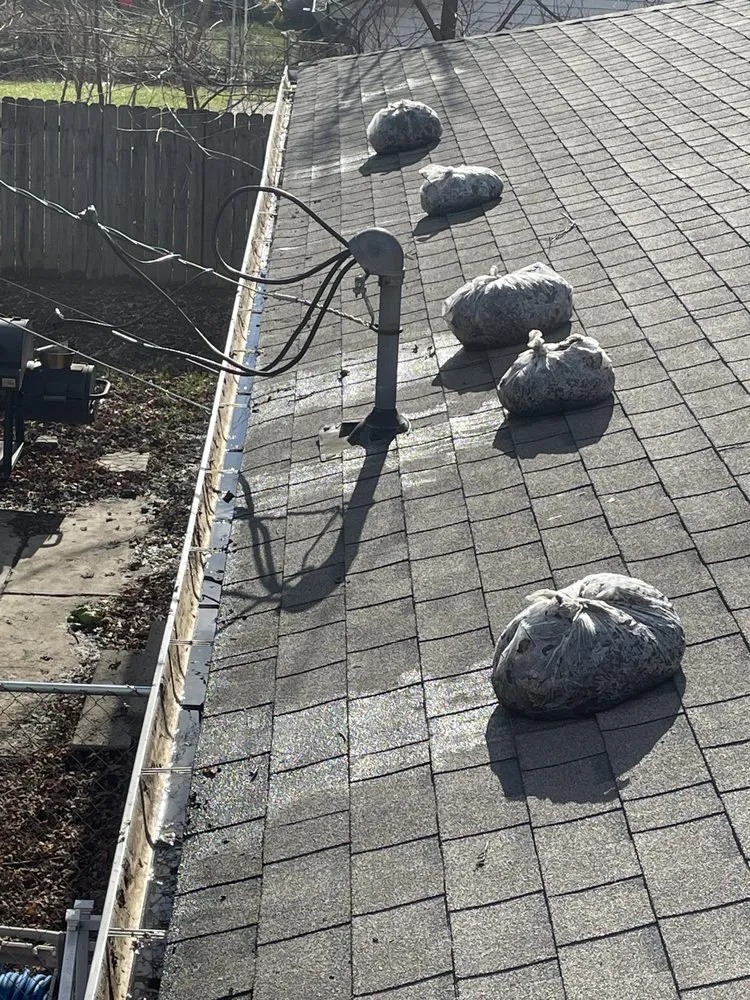 Professional outdoor landscaping experts serving Indianápolis, IN - Construction and Landscape