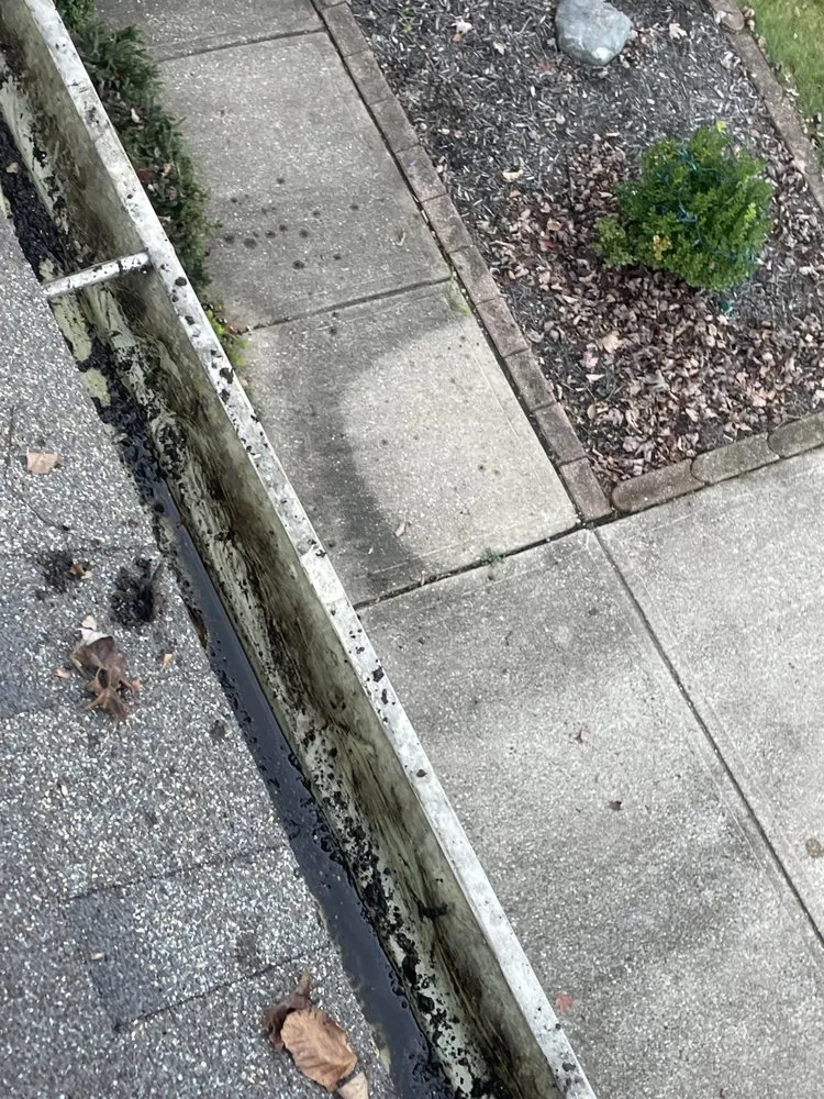 Affordable outdoor landscaping in Indianápolis, IN - Construction and Landscape