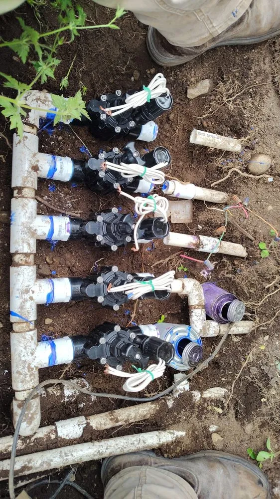 Professional landscaping services near you across Renton, WA - Construction Boys