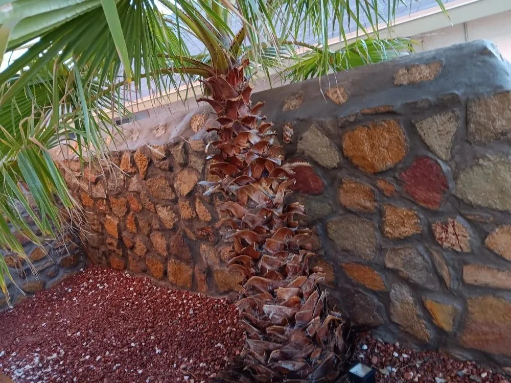 Expert lawn care service experts serving Socorro, TX - Construction Hernandez