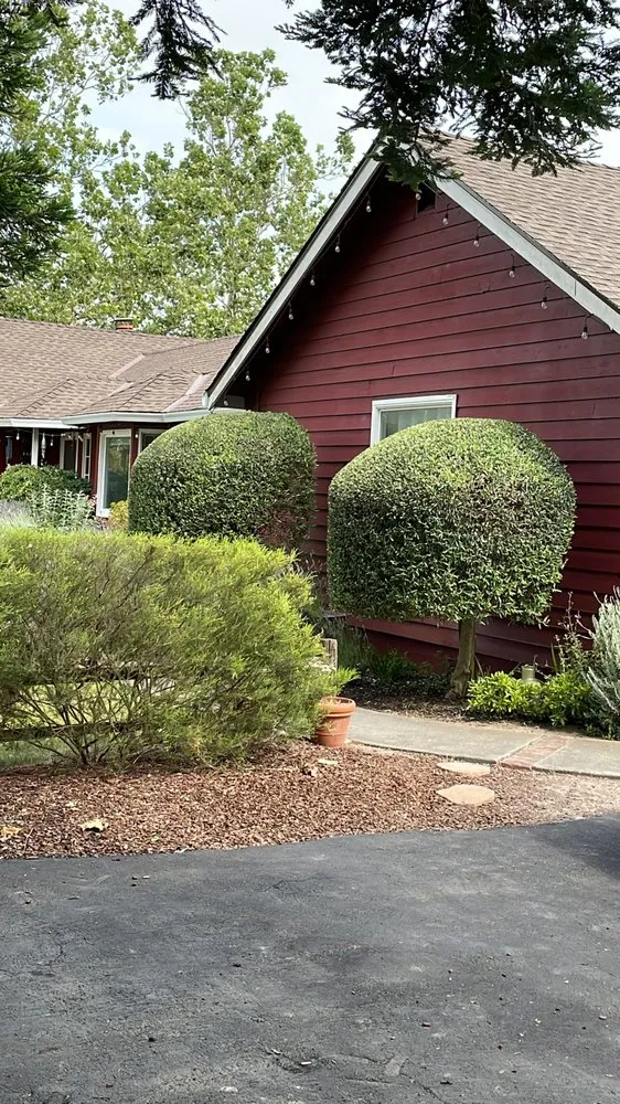 Trusted yard cleanup service experts serving Petaluma, CA - Construction landscaping pablo