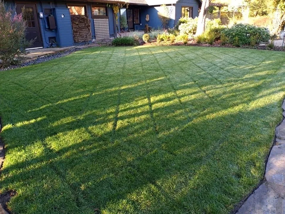 Top-rated landscape installation experts serving Petaluma, CA - Construction landscaping pablo