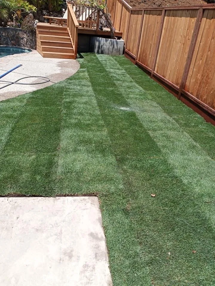 Professional landscaping services in Petaluma, CA - Construction landscaping pablo