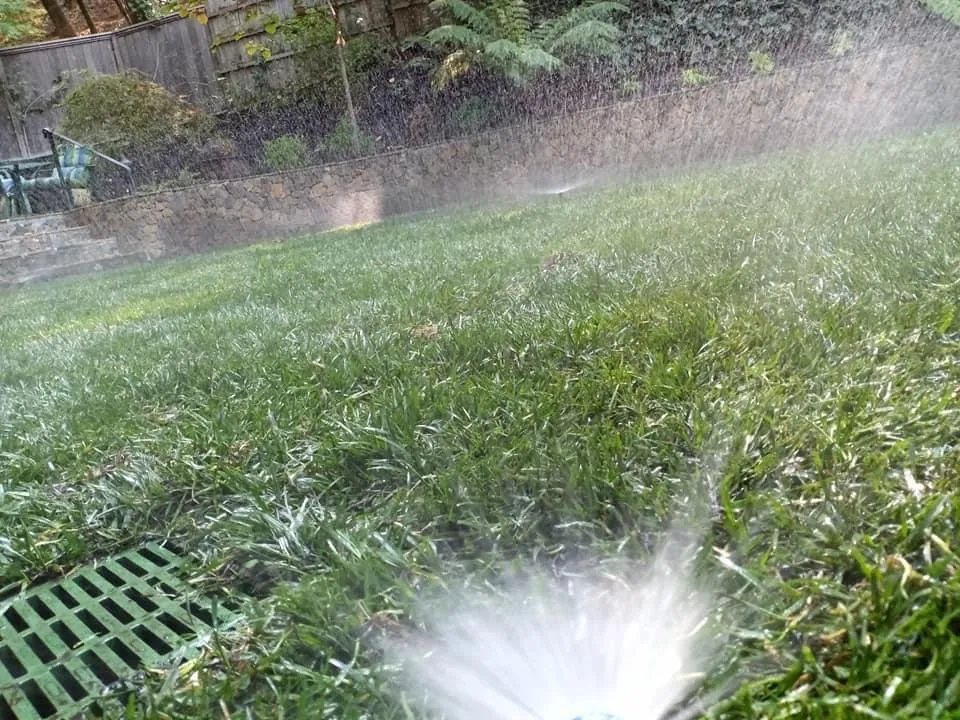 Reliable yard maintenance experts serving Petaluma, CA - Construction landscaping pablo