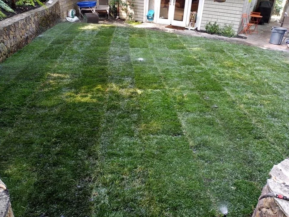 Top-rated lawn mowing service for beautiful yards in Petaluma, CA by Construction landscaping pablo