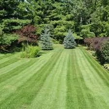 Custom lawn mowing service experts serving Atlanta, GA - Construction Management Atlanta