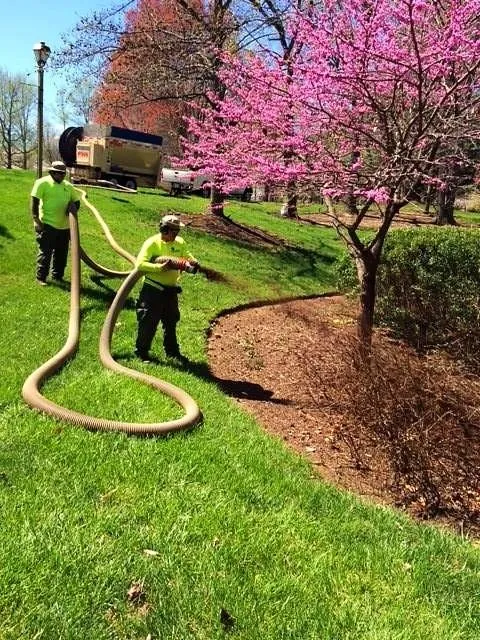 Affordable landscape installation for outdoor upgrades across Atlanta, GA - Construction Management Atlanta
