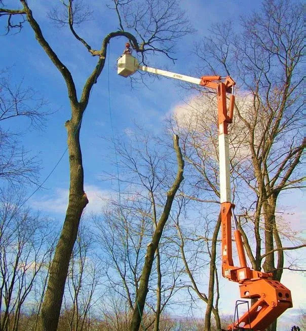 Reliable yard maintenance near you across Atlanta, GA - Construction Management Atlanta