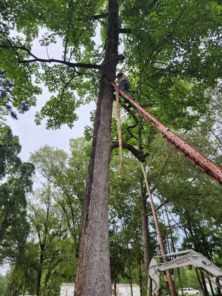 Local outdoor landscaping experts serving Saint Francisville, LA - Construction Outfitters