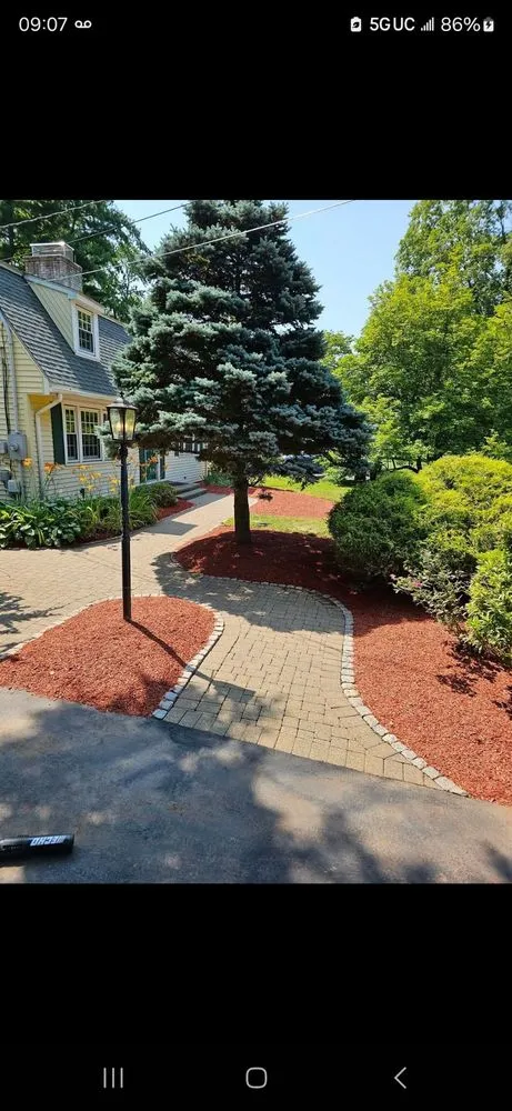 Trusted yard cleanup service in Hartford, CT by Construlopez Landscaping & Masonry