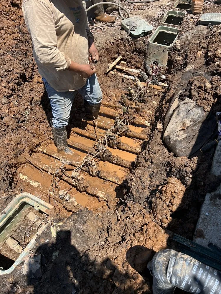 Trusted yard cleanup service in Fair Oaks, CA - Consumnes River Landscape