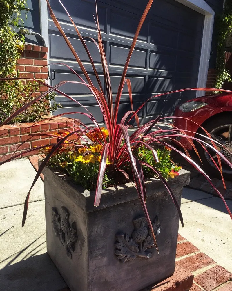 Affordable lawn mowing service for beautiful yards in Glendale, CA by Contained Bliss