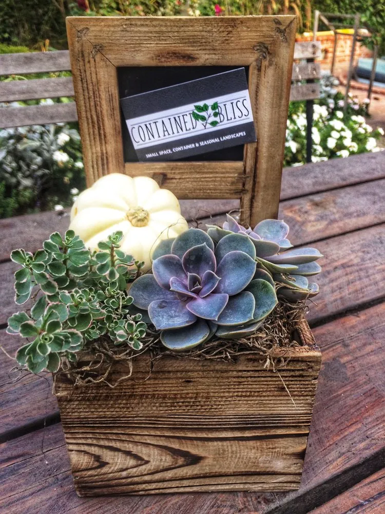 Reliable outdoor landscaping in Glendale, CA - Contained Bliss