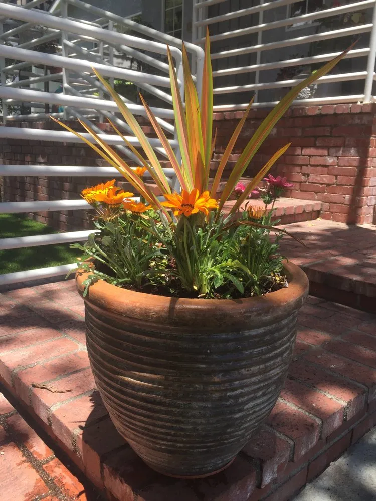 Reliable landscape design experts serving Glendale, CA - Contained Bliss