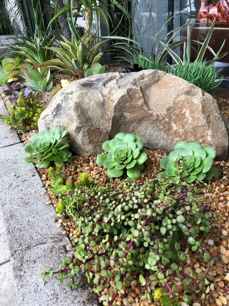 Affordable yard cleanup service in Glendale, CA by Contained Bliss