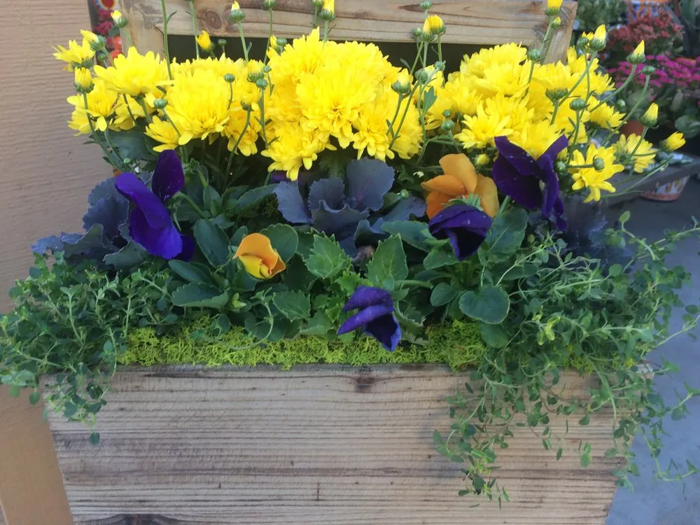 Trusted landscape installation experts serving Glendale, CA - Contained Bliss