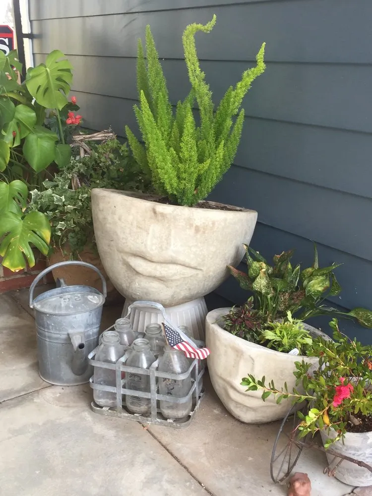 Expert landscaping services in Glendale, CA - Contained Bliss