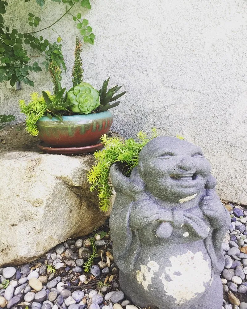 Custom landscape installation for homes in Glendale, CA by Contained Bliss