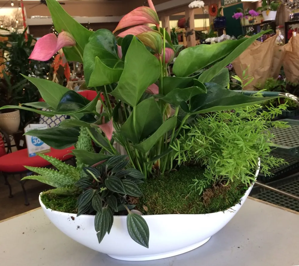 Local landscape design experts serving Glendale, CA - Contained Bliss