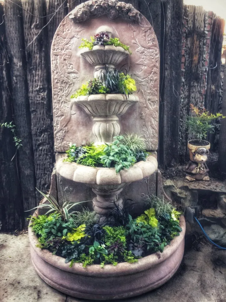 Affordable landscape design for year-round maintenance in Glendale, CA by Contained Bliss