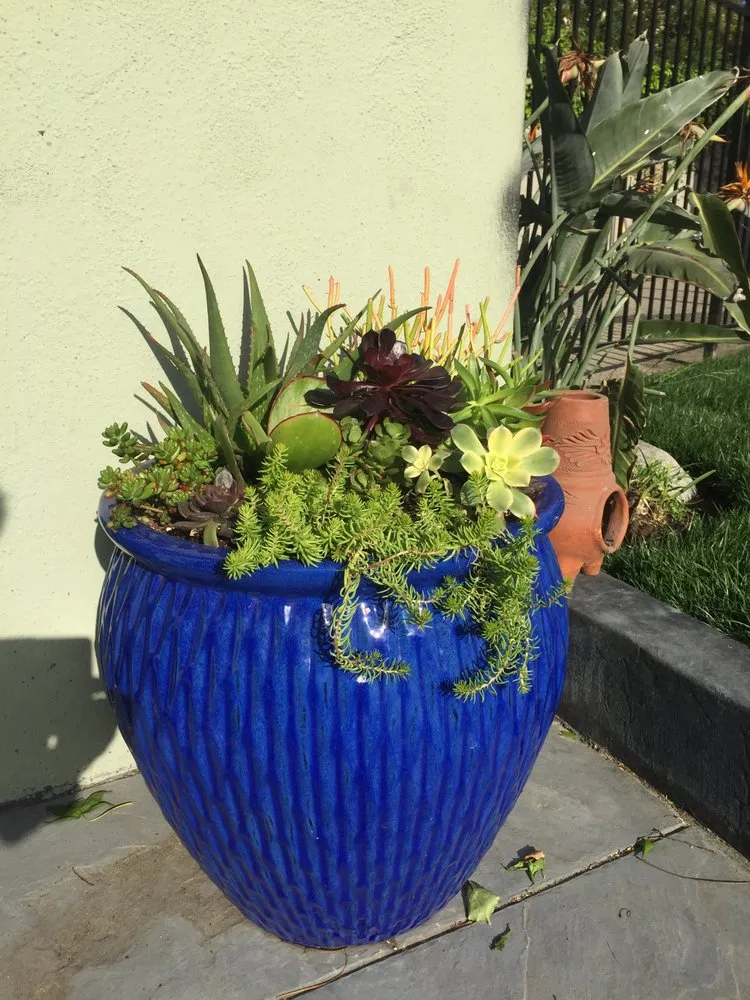 Custom landscaping services in Glendale, CA - Contained Bliss