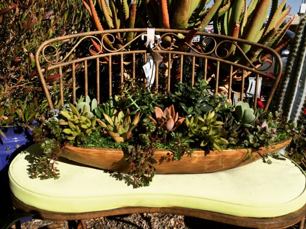 Professional landscape design in Glendale, CA - Contained Bliss