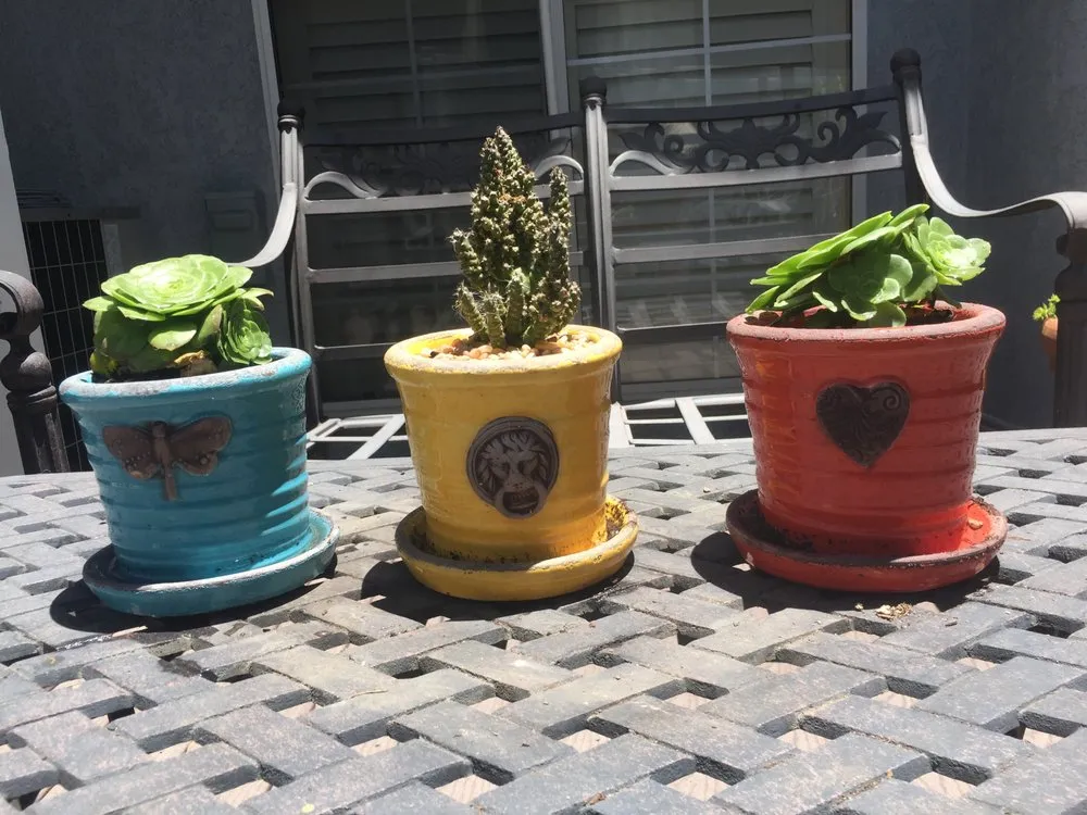 Custom lawn mowing service experts serving Glendale, CA - Contained Bliss