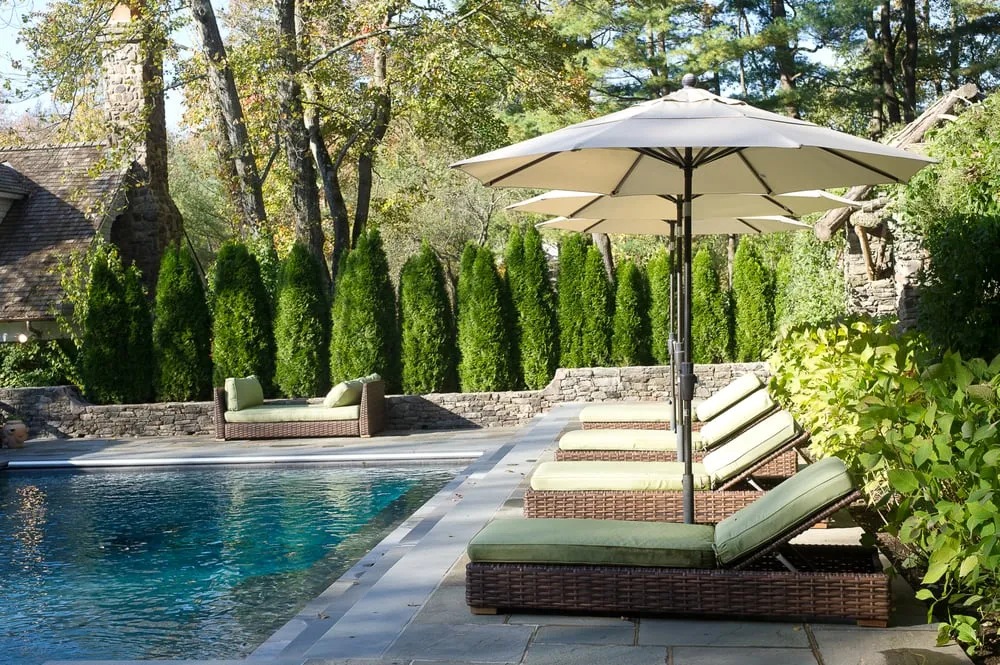 Top-rated yard maintenance in Greenwich, CT - Conte & Conte