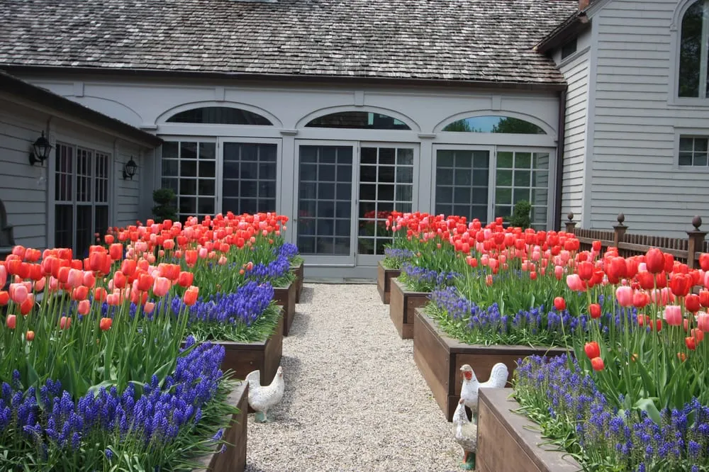 Custom lawn care service for residential properties in Greenwich, CT by Conte & Conte