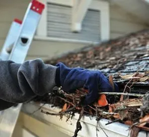 Trusted landscaping services experts serving Rochester, NY - Conte Lawn Care