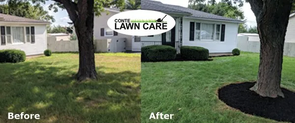 Local residential landscaping in Rochester, NY - Conte Lawn Care