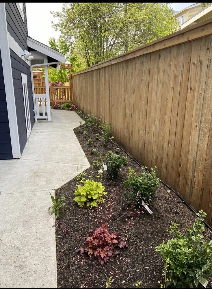 Affordable landscaping services in Seattle, WA - Contemporary Homestead