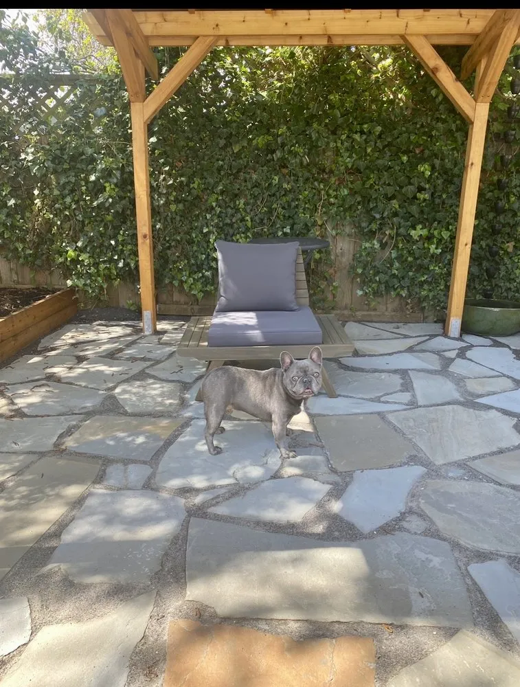 Affordable landscaping services for outdoor upgrades across Seattle, WA - Contemporary Homestead